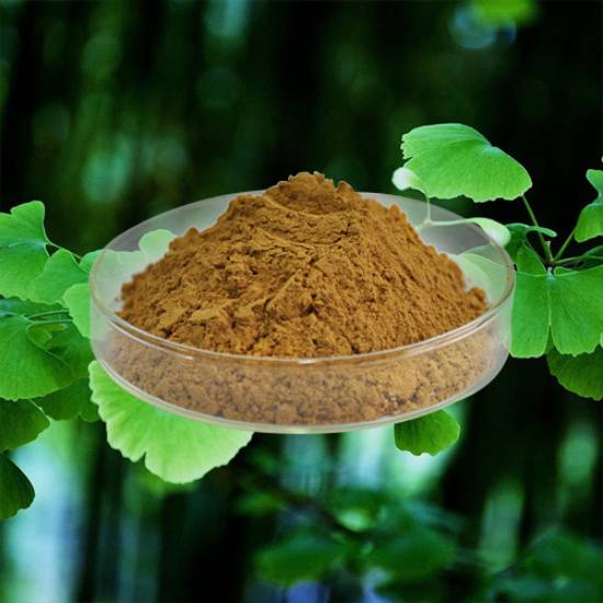 Saang grupo nilalapatan ng ginkgo leaf extract?