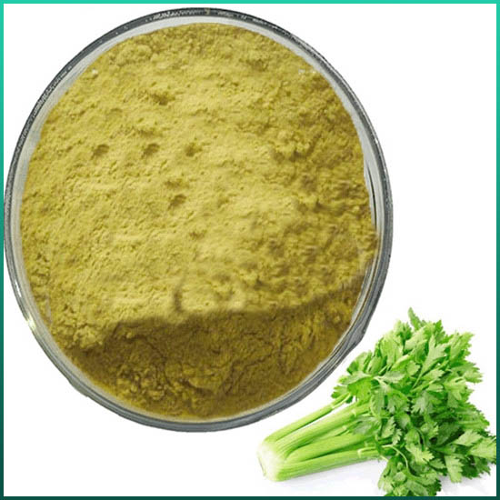 Celery Seed Extract Apigenin