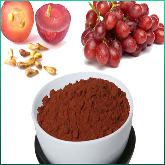 Grape Seed Extract