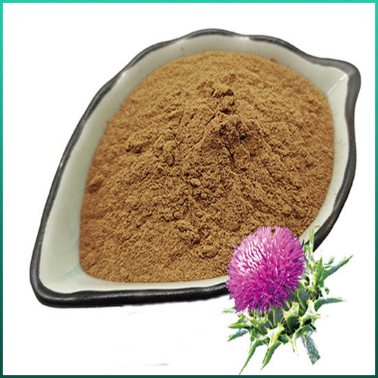 Extract ng Milk Thistle